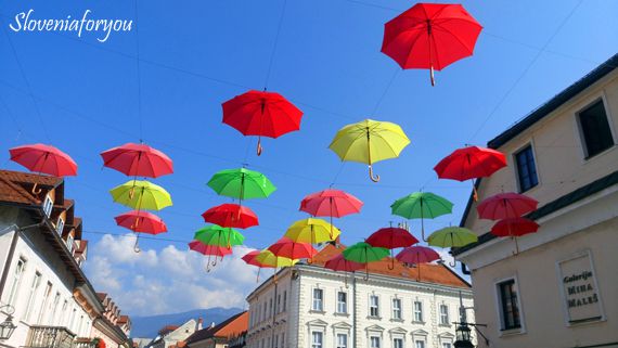 A Day in Kamnik, Slovenia